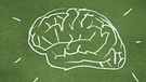 Kreidezeichnung eines Gehirn auf einer Schultafel | Bild: colourbox.com