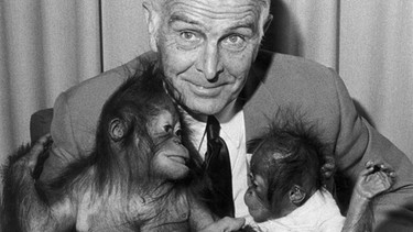 Grzimek mit Orang Utan und Schimpanse | Bild: picture-alliance/dpa