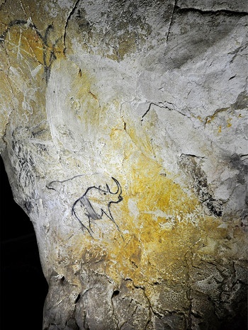 Höhlenmalerei der Chauvet-Höhle in Südfrankreich | Bild: dpa-Bildfunk