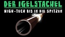 Igel-Stachel - High-Tech bis in die Spitzen | Bild: BR/Tanja Begovic, Anna Hunger