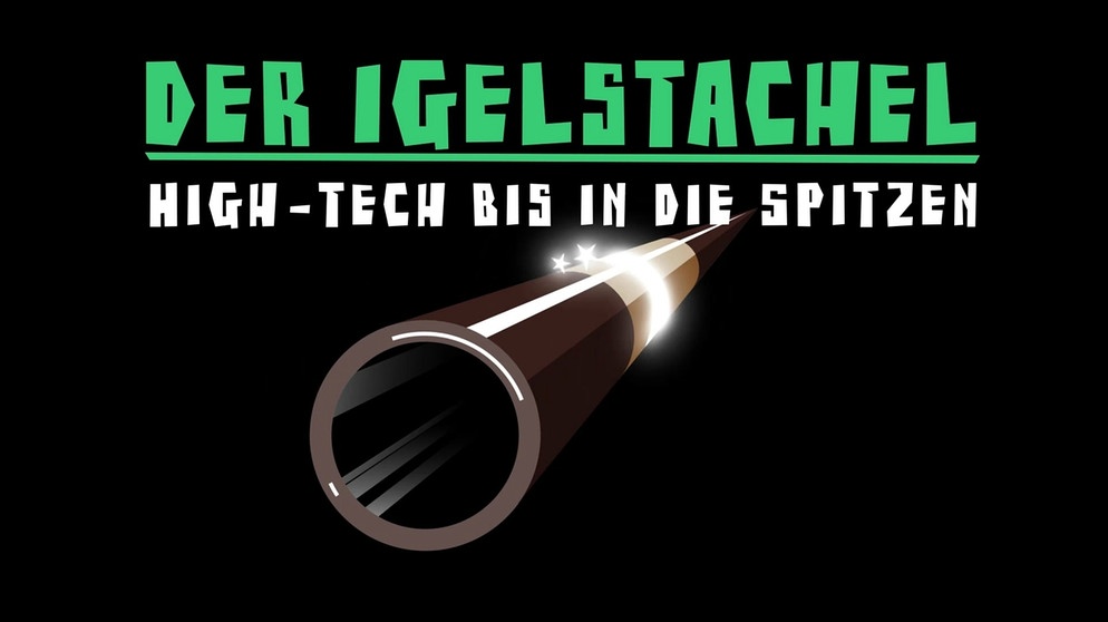 Igel-Stachel - High-Tech bis in die Spitzen | Bild: BR/Tanja Begovic, Anna Hunger