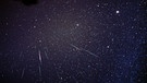 Mehrere Sternschnuppen mit deutlich erkennbaren Radianten (Ausstrahlungspunkt), aufgenommen im November 2001 beim Meteor-Strom der Leoniden. | Bild: imago/Leemage