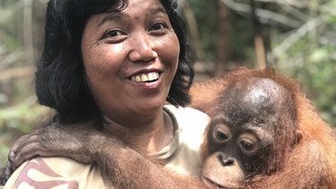 Borneo: der Orang-Utan Taymur klammert sich an  "Ersatzmutter", Rettungsstation Nyaru Menteng  | Bild: dpa-Bildfunk/Christoph Sator