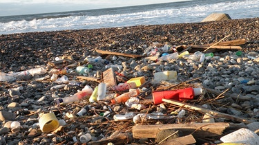 Plastikmüll am Strand der Nordsee | Bild: colourbox.com