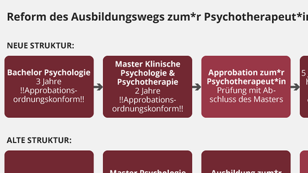 Infografik: Ausbildungsweg zum*r Psychotherapeut*in | Bild: BR