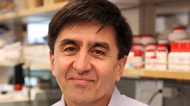 Shoukhrat Mitalipov, Forschungsleiter an der Oregon Health und Science Universität | Bild: picture-alliance/dpa