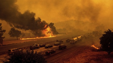 19.08.2020, USA, Vacaville: Brände sind neben einer Schnellstraße zu sehen. Mehr als zwei Dutzend Waldbrände lodern im US-Bundesstaat Kalifornien. Waldbrände in Kalifornien haben Tausende Menschen aus ihren Häusern getrieben. Foto: Noah Berger/AP/dpa +++ dpa-Bildfunk +++ | Bild: dpa-Bildfunk/Noah Berger