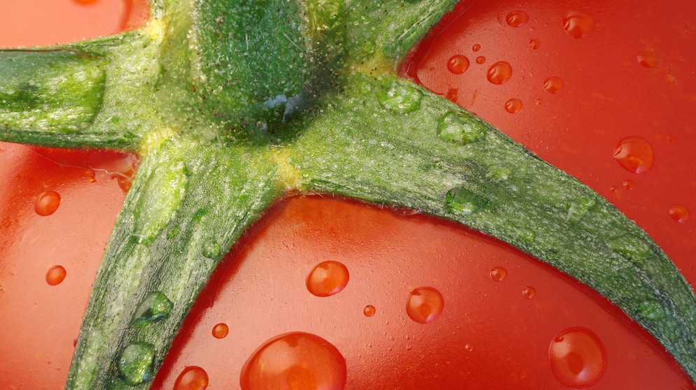 Detail einer reifen Tomate, Ansatzstelle des Stils; auch Tomaten werden teils importiert und fließen damit mit in den Wasserfußabdruck Deutschlands ein.  | Bild: picture alliance / blickwinkel/M. Lenke | M. Lenke
