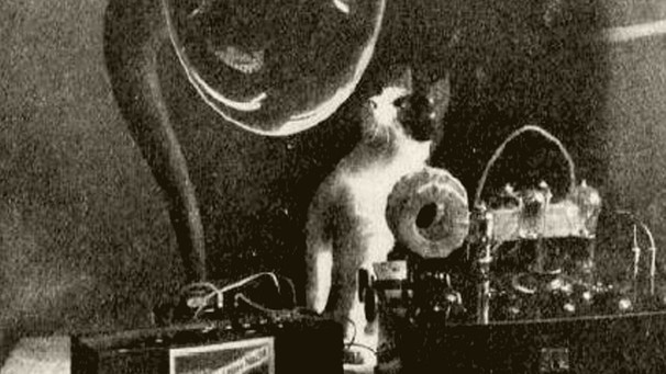 Katze beim Schwarzhören | Bild: BR/ Historisches Archiv