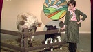 Bei "Unser Land" durfte in den 70er-Jahren auch mal eine Kuh mit Kalb Studiogast bei Carolin Reiber sein | Bild: BR