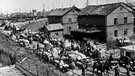  Ein Flüchtlingstreck auf der Flucht vor der Front des Zweiten Weltkriegs in Osteuropa (undatiertes Archivbild aus dem Jahr 1945) | Bild: picture alliance / dpa