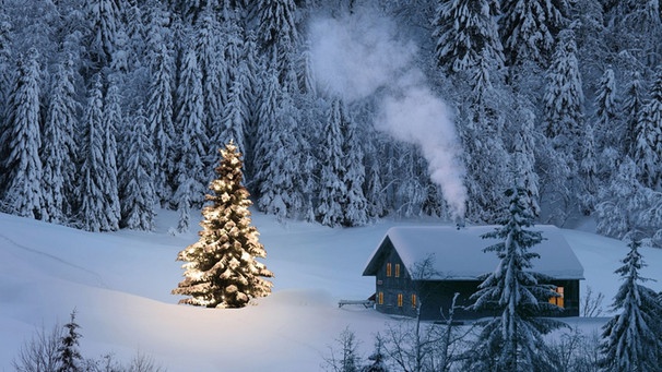 Beleuchteter Weihnachtsbaum in einer Schneelandschaft | Bild: © Phimak - Fotolia