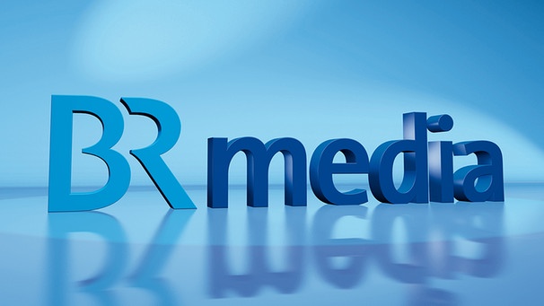 Logo der BRmedia GmbH | Bild: BR