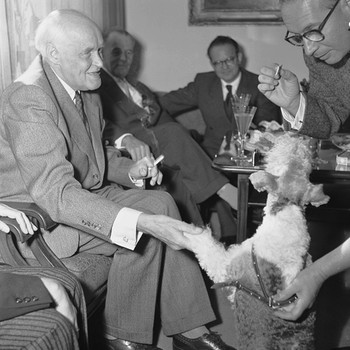 Feier zum 65. Geburtstag von Rudolf von Scholtz und Gratulanten Robert Lembke mit Hund Struppi, 1955
| Bild: BR/Historisches Archiv, Lindinger