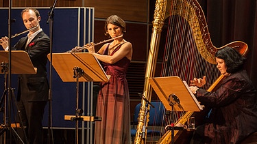 Dorothee Binding (Flöte), Philipp Jundt (Flöte) und Anette Hornsteiner (Harfe) musizieren | Bild: BR/Andreas Dirscherl