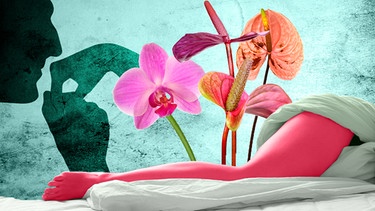 Frau liegt in Bett im Hintergrund ein Mann der einen Handkuss gibt und Blumen | Bild: colourbox.com