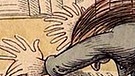 Karikaturzeichnung Wilhelm Buschs eines Pianisten mit ausladenden Bewegungen, 20 Fingern und wilder Mähne | Bild: Creative Commons