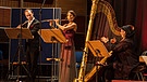 Philipp Jundt (Flöte), Dorothee Binding (Flöte) und Anette Hornsteiner (Harfe) musizieren | Bild: BR/Andreas Dirscherl