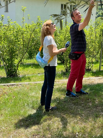 Obstbauer Niccoló Paganini aus dem Tal Valposchiavo in Graubünden in der Schweiz zeigt Reporterin Leonie Thim seine Kastanien-Bäume. | Bild: BR / Leonie Thim