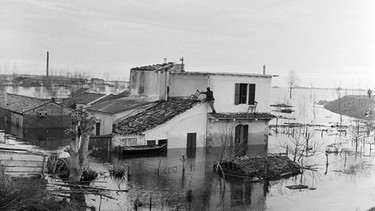 Überschwemmung des Arno-Tals in Italien, 1966 | Bild: BR / Lindinger