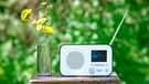 Ein DAB+ Radio im Garten für den portablen Empfang. | Bild: BR/Petra Decker
