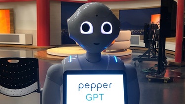 Pepper GPT | Bild: BR