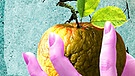 Bildcollage - Zwei Babies tanzen auf dem Daumen einer linken Hand. Eine andere Hand präsentiert einen überreifen, runzligen Apfel. Dazwischen im Hintergrund eine Silhouette eines Jugendlichen, der jubelt. | Bild: BR/Muitimedia