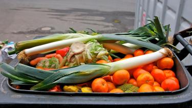 Gemüse in der Müllltonne | Bild: BMELV/Walkscreen