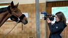 young reporter 2021 Emma filmt ihr Pferd Bijou. | Bild: BR