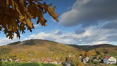 Blick auf eine Ortschaft mit Wiese und Wald. | Bild: WDR
